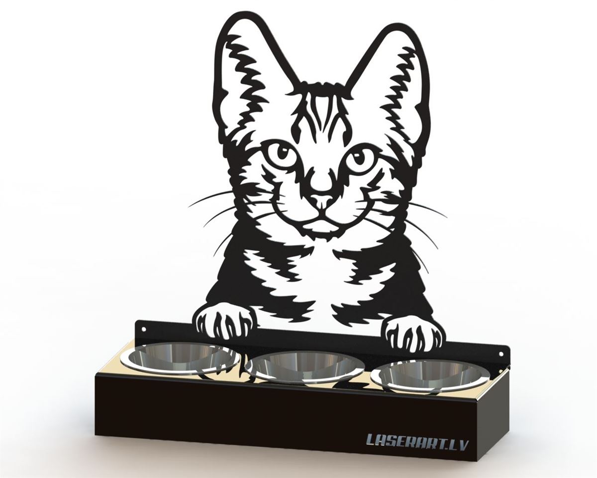 3-Bowl Cat Feeder, American Shorthair Cat breed, Raised Feeding Station