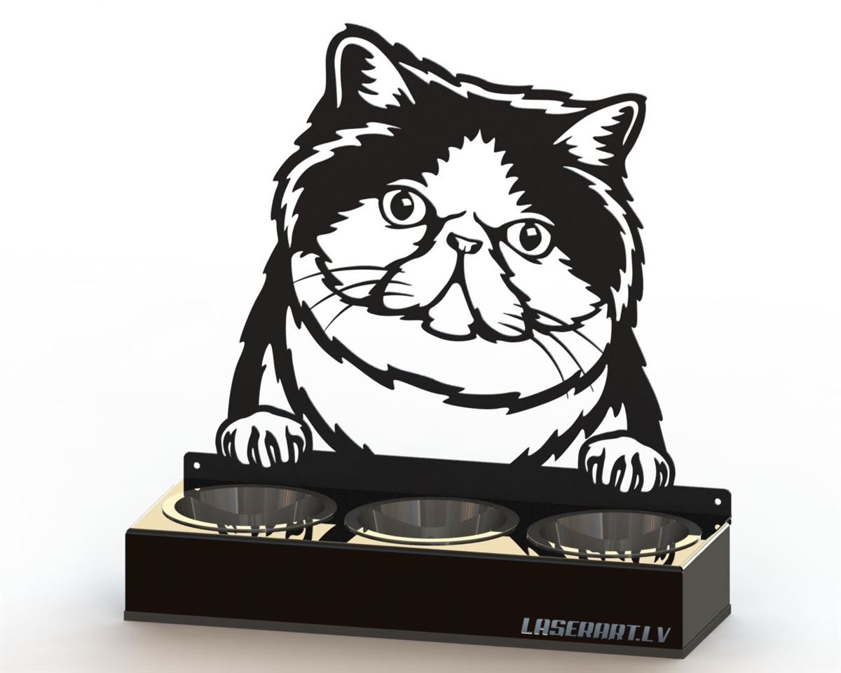 3-Bowl Cat Feeder, Exotic Shorthair Cat breed, Raised Feeding Station